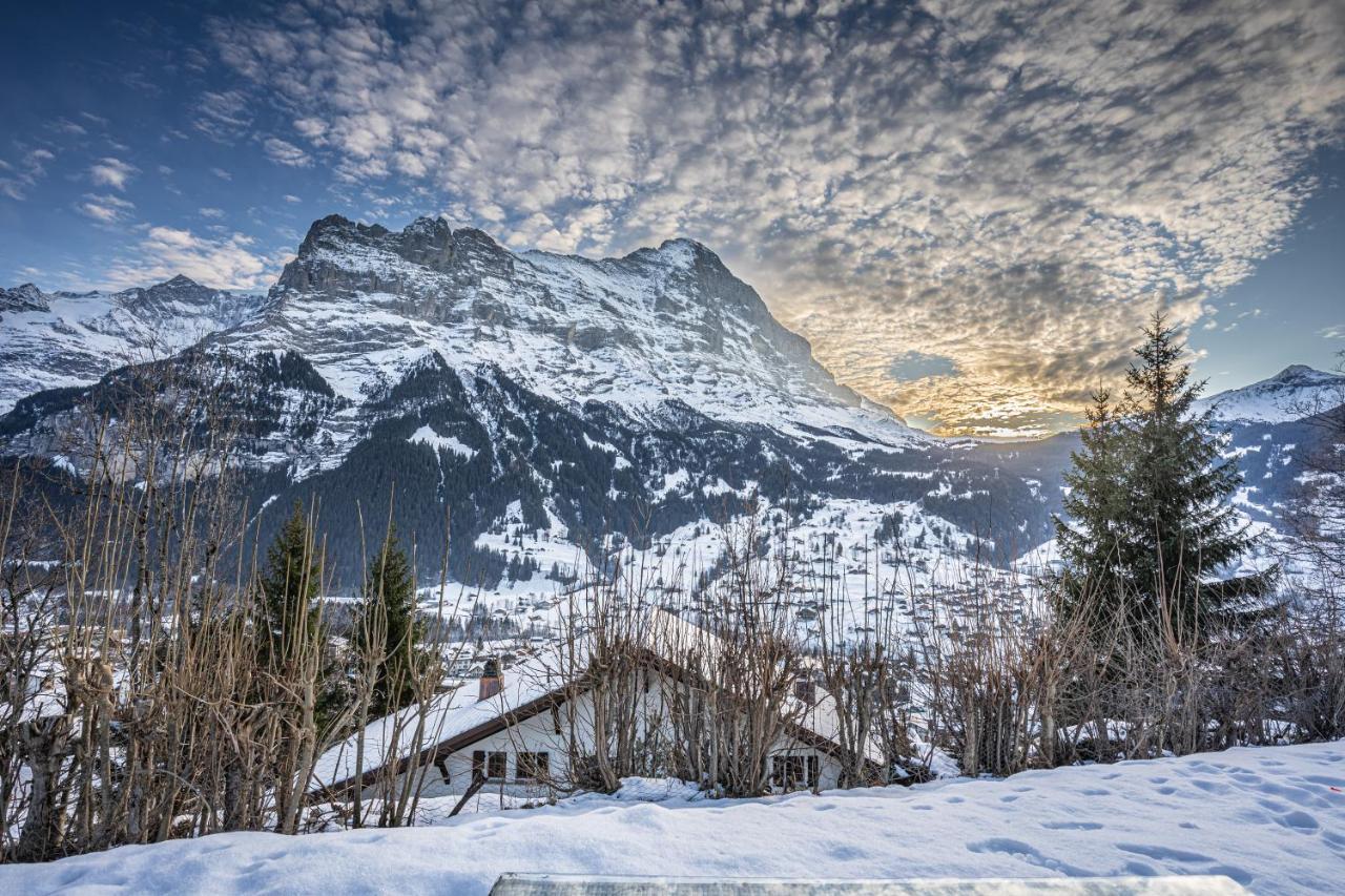 Chalet Weid - Aare Jungfrau Ag Grindelwald Eksteriør bilde
