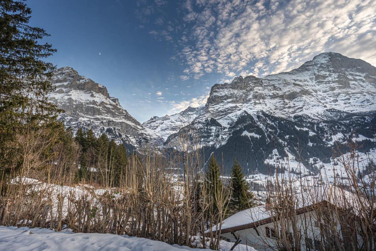 Chalet Weid - Aare Jungfrau Ag Grindelwald Eksteriør bilde